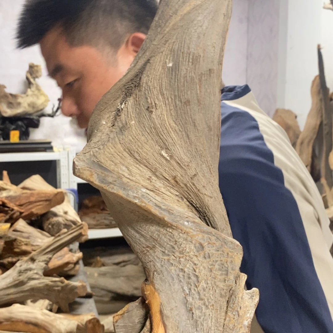 柏木随***欲我们都是好孩子