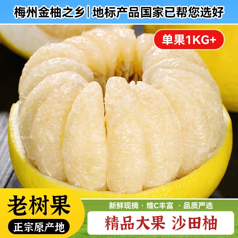 【花皮果】正宗梅州沙田柚子新鲜现摘当季水果金柚之乡孕妇水果