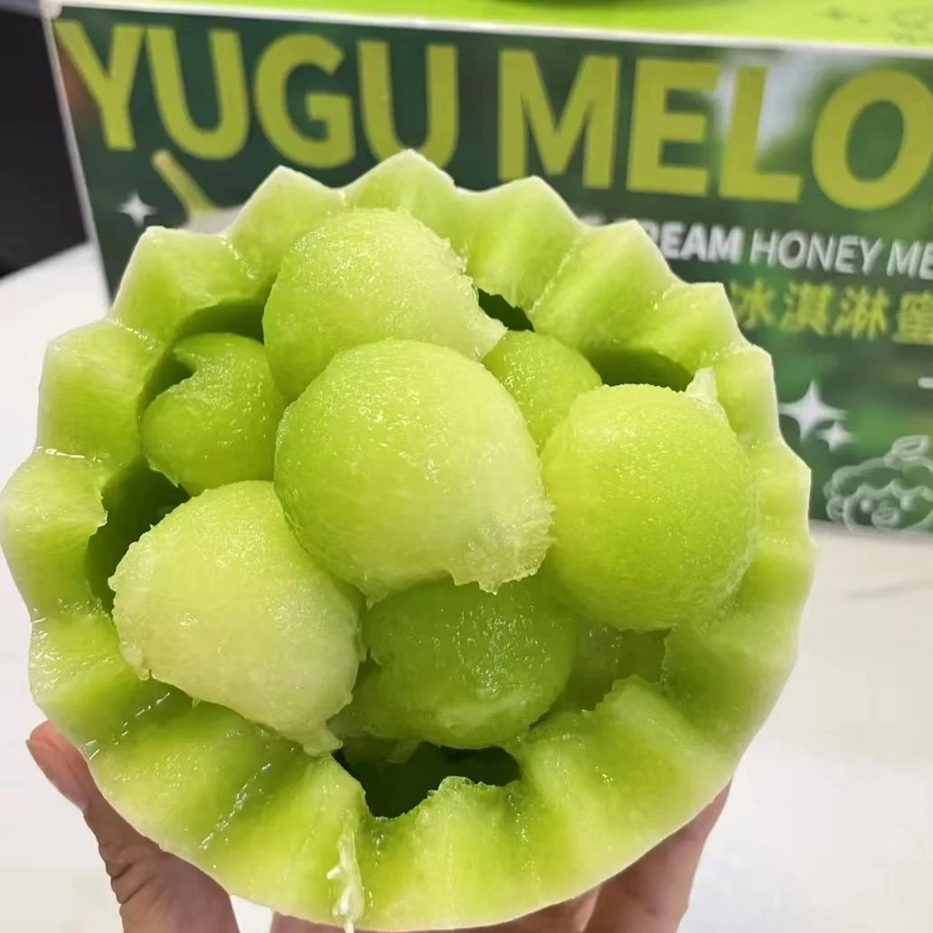 山东冰淇淋玉菇甜瓜现摘现发