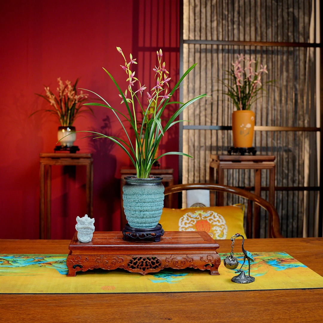 春兰铭品【和光同尘】带花剑浓香型兰花 带古风陶罐 室内好养易活