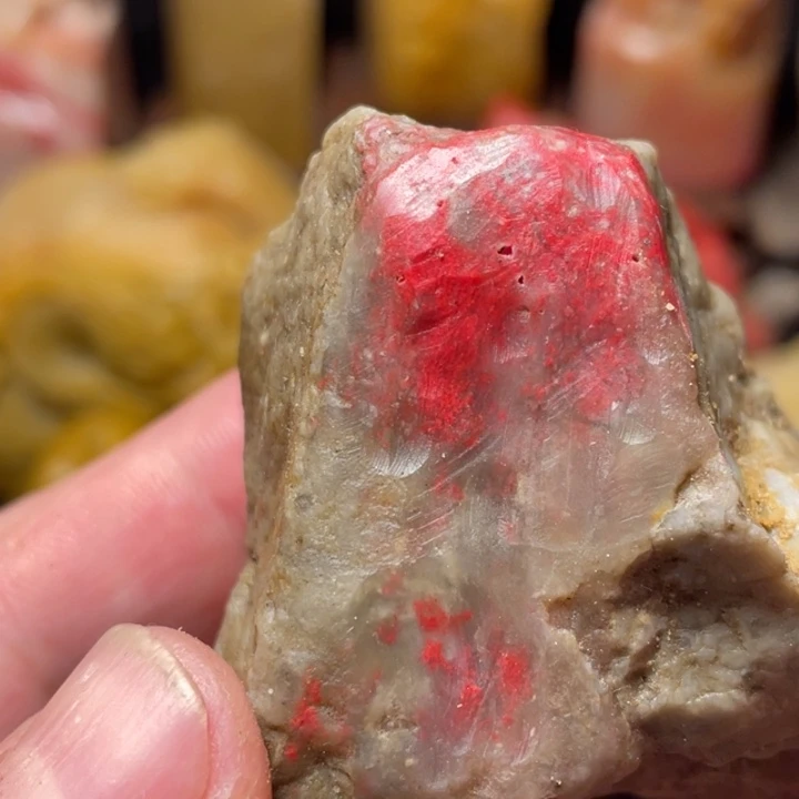 田黄石127克昌化鸡血石