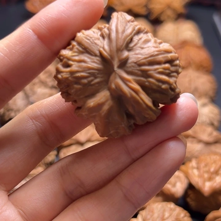 郭****店白狮子角核桃哈哈哈哈哈哈