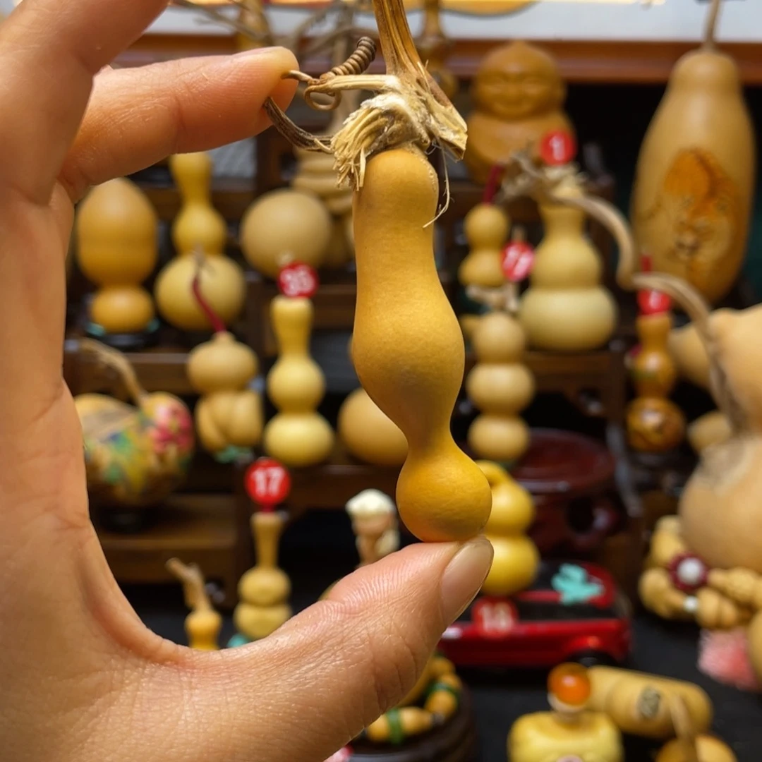 繩*葫芦笙和我一起看吧哈喽哈哈