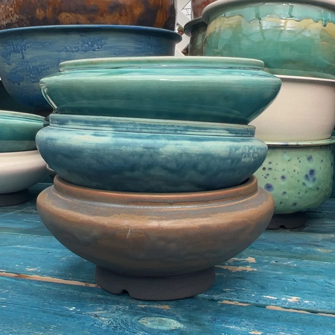 从前慢多肉精选编号0629.11