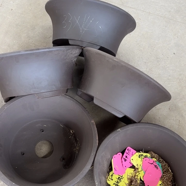 紫砂花盆               100-5