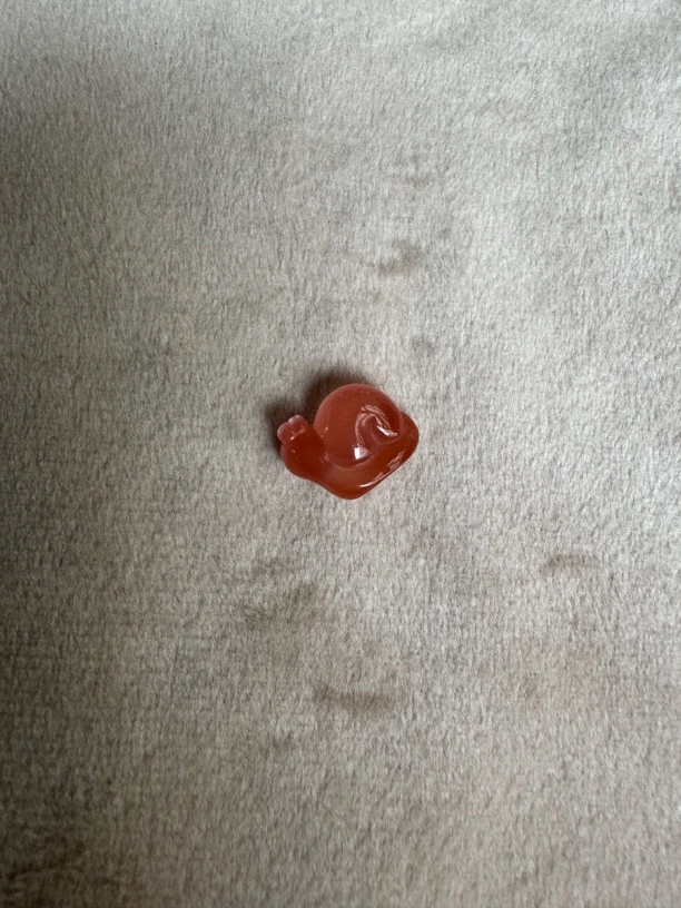 川料天然原矿南红小蜗牛