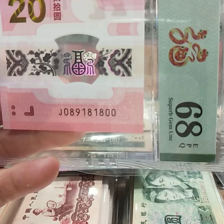 塑料蛇钞倒置号单张089181800