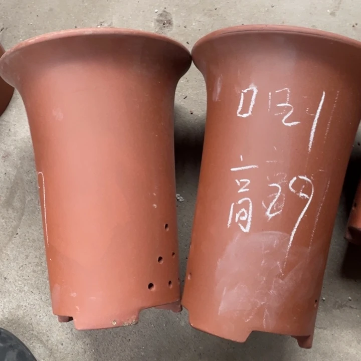 红陶紫砂紫砂紫砂