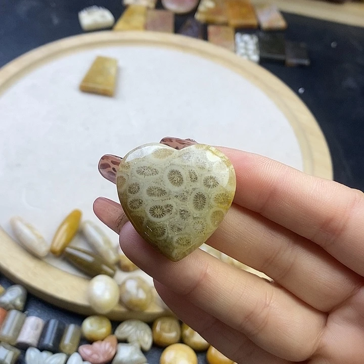 硅化珊瑚（珊瑚玉）未镶嵌颈饰6