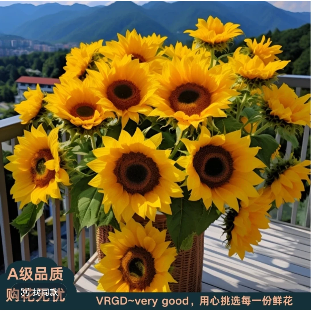 向日葵鲜花臻选品质积极向上昆明鲜花顺丰冷链发货云南直发
