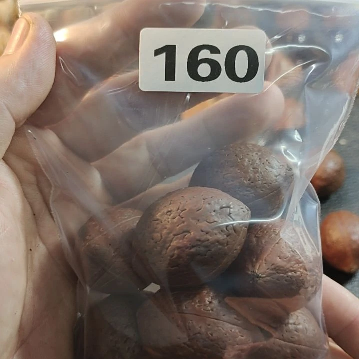 文玩核桃吊坠书***n文玩核桃