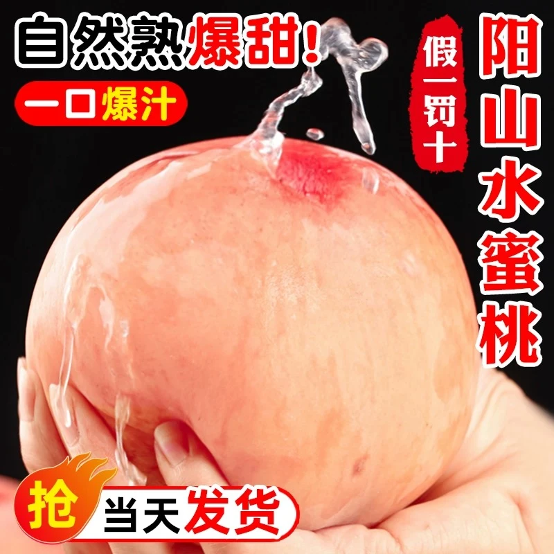 【正宗无锡阳山水蜜桃】6-7两应季新鲜水果现摘现发日川白凤湖景升级礼盒包装顺丰冷链送货上门江苏省