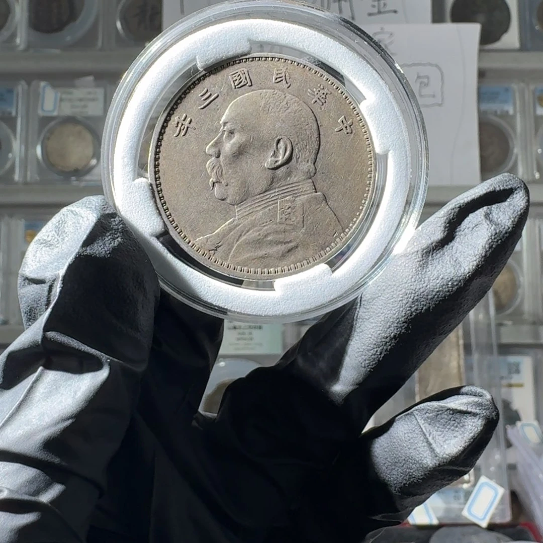 ****～大叶紫檀（黑酸枝木类）大头一个 小师妹MM