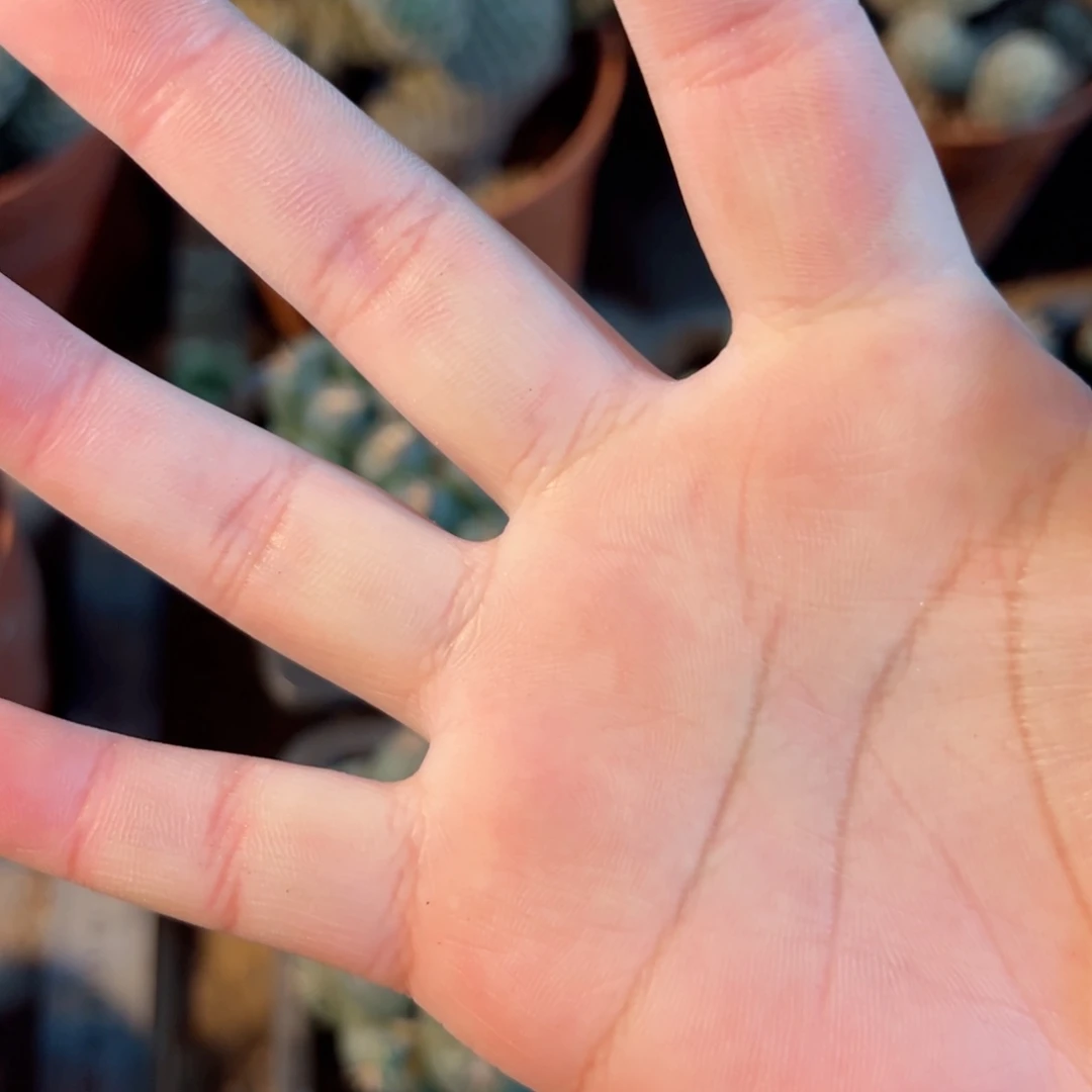 浅***浅哈哈哈哈哈哈哈哈哈哈哈哈