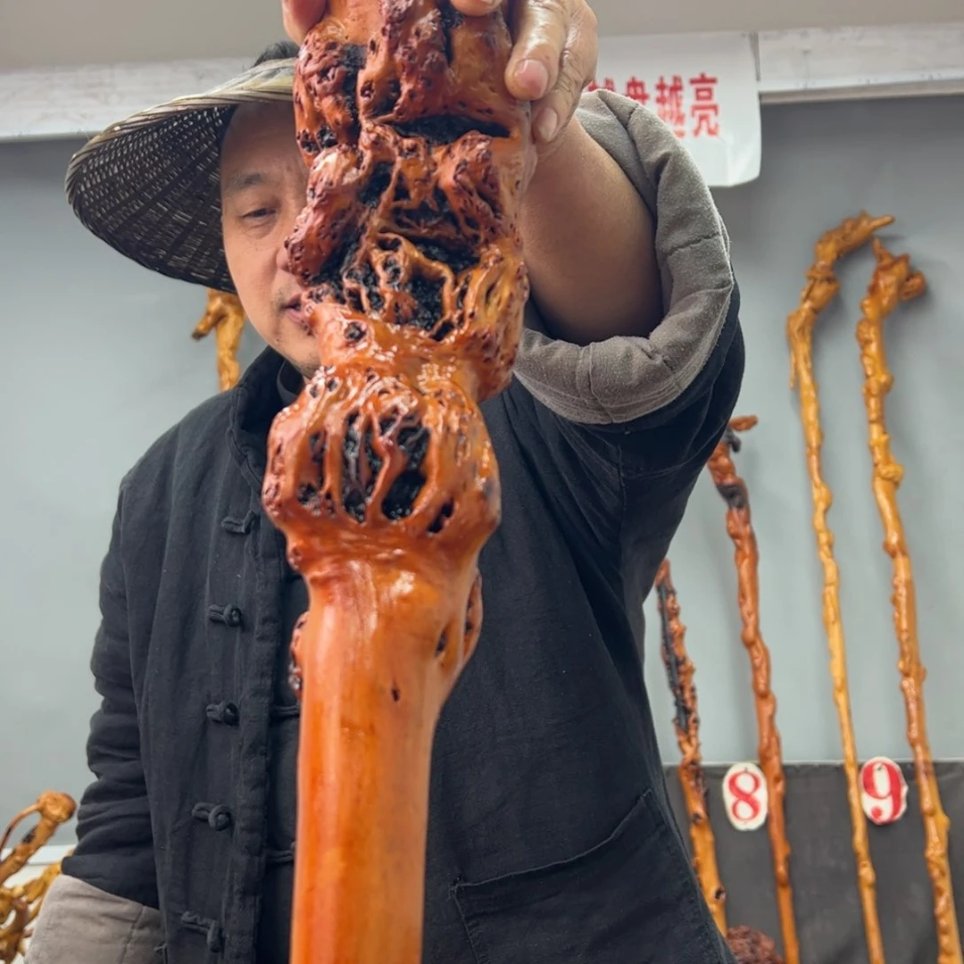 黑果木其他土*陈黑果木031