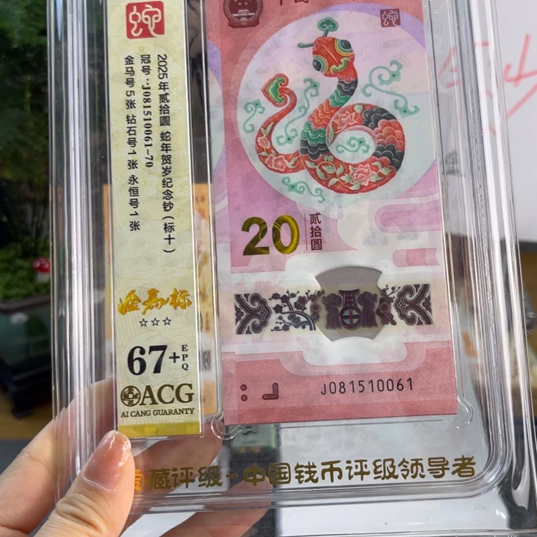 塑料金马标十67+J081510061-70独5