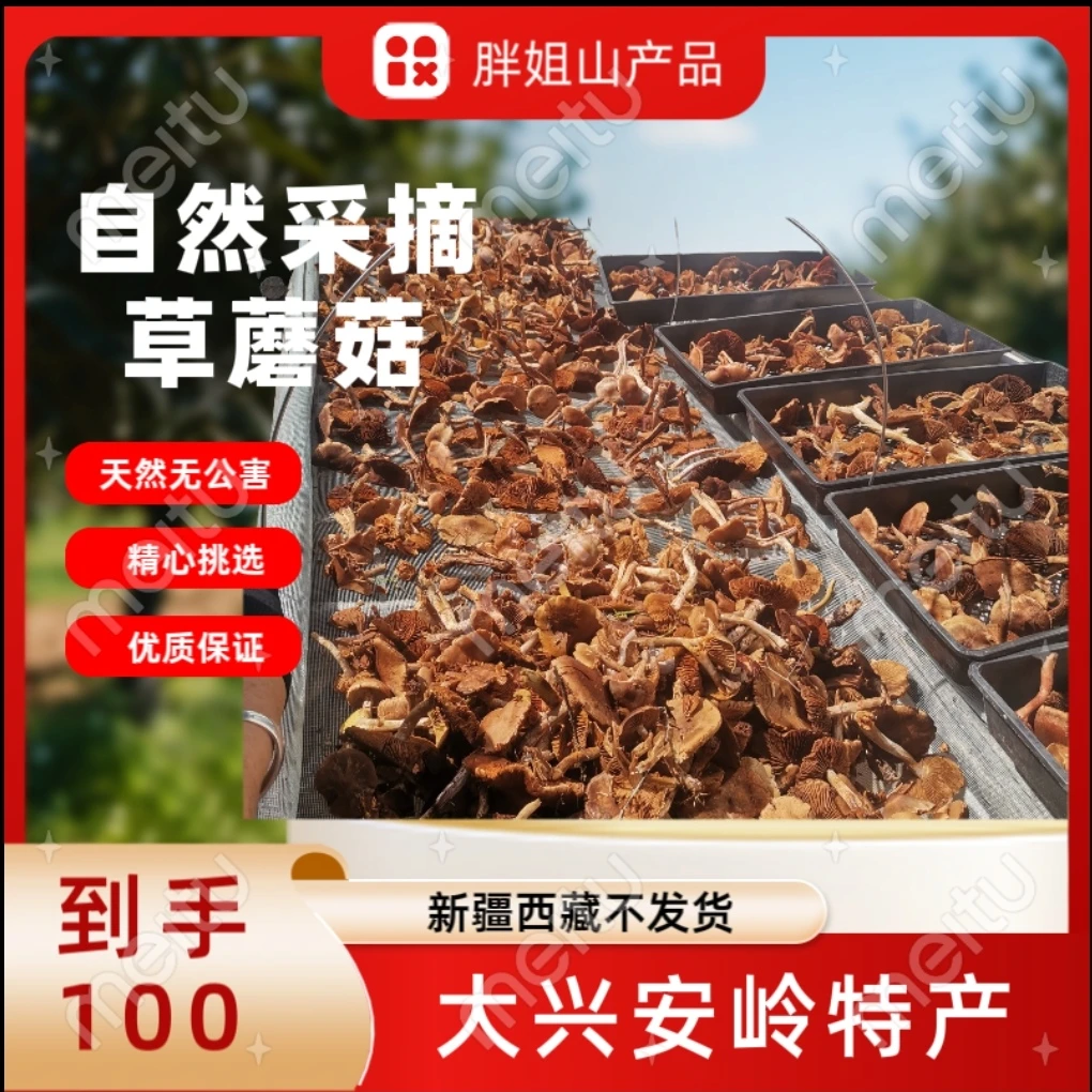 大 兴安岭新采野生草蘑菇干货小鸡炖蘑菇土特产蘑菇新货包邮