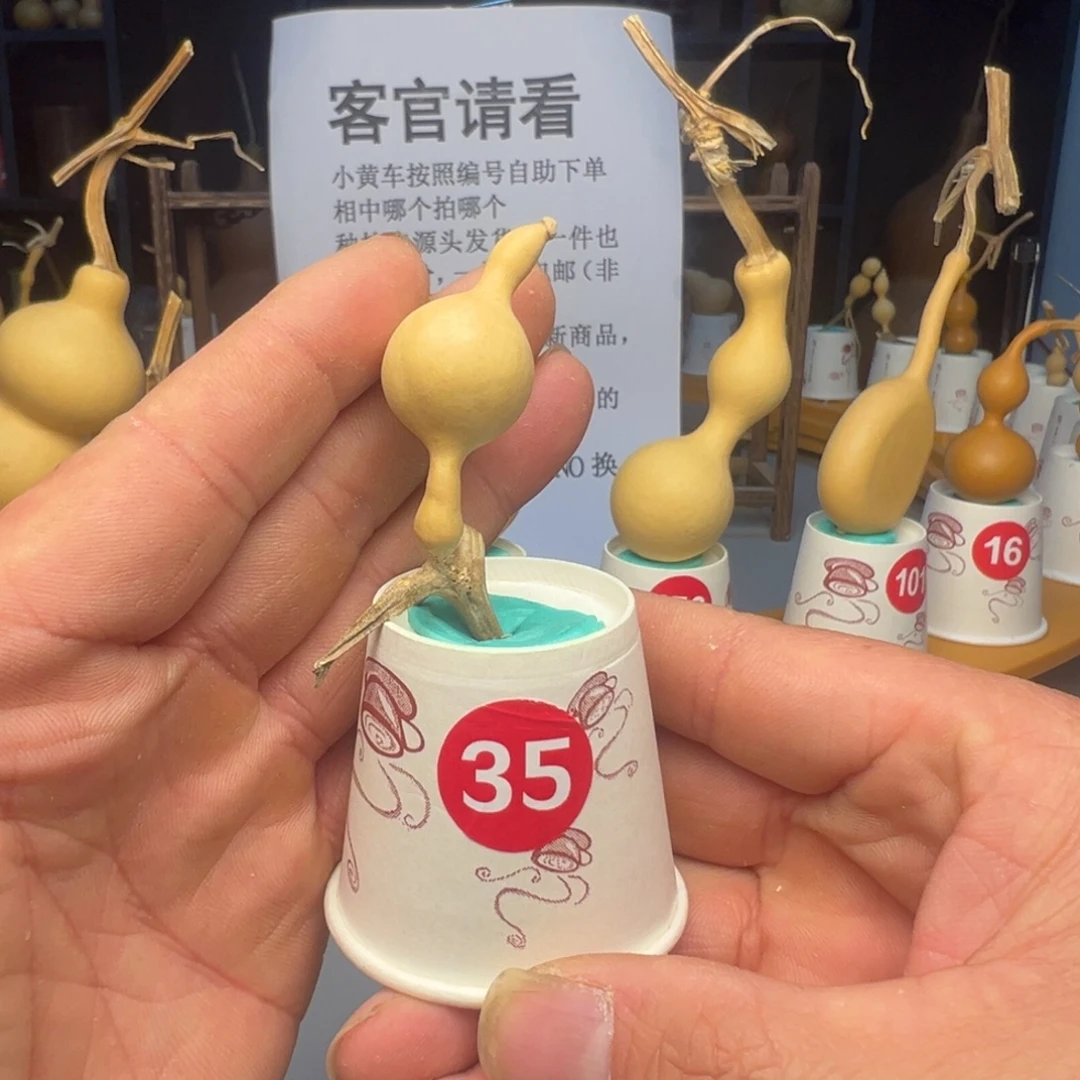 闪电购自助下单编号35