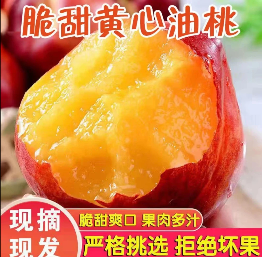 正宗黄肉油桃新鲜采摘大果