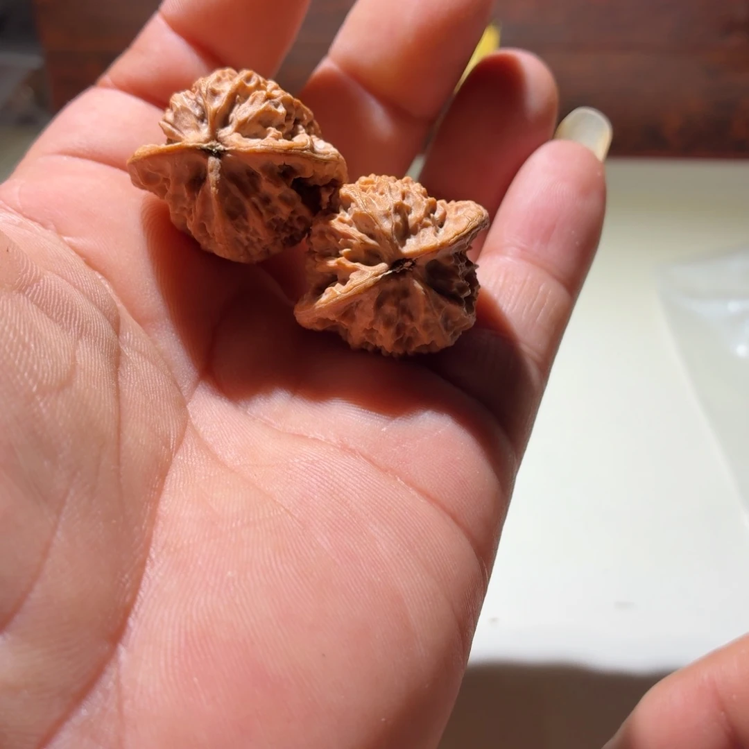 文玩核桃把件L**H瓜子
