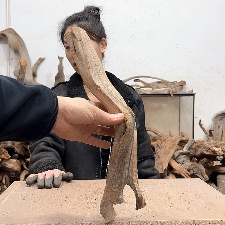 柏木用****5我们都是好孩子