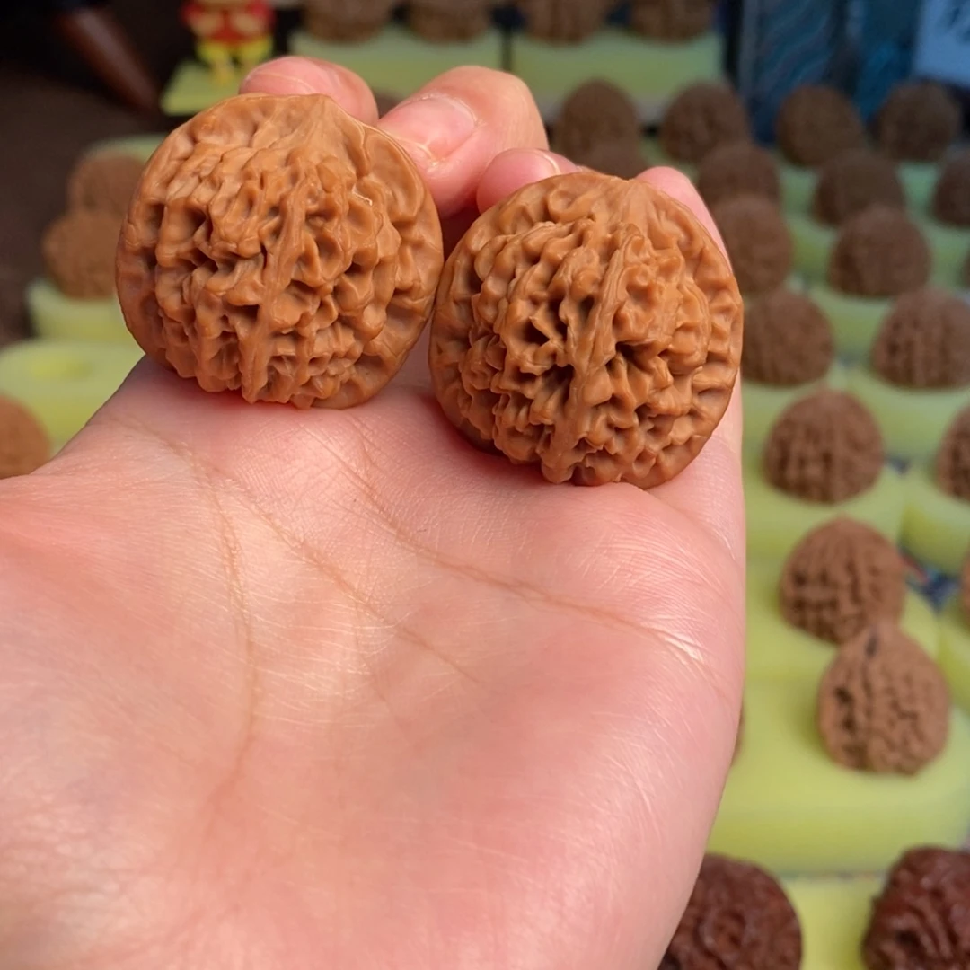 核桃秦岭闷尖狮子头33全家福