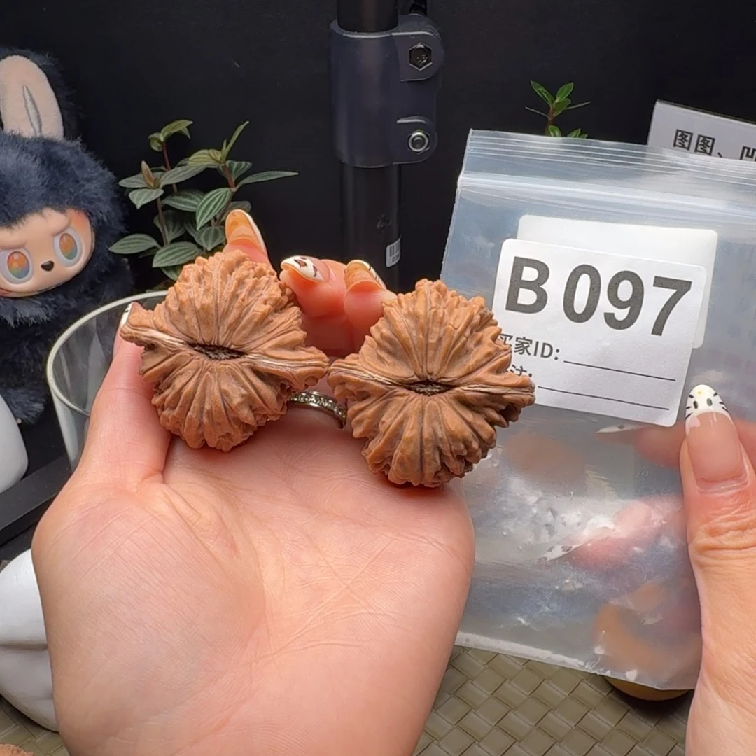 吊坠龙脊菩提四座楼