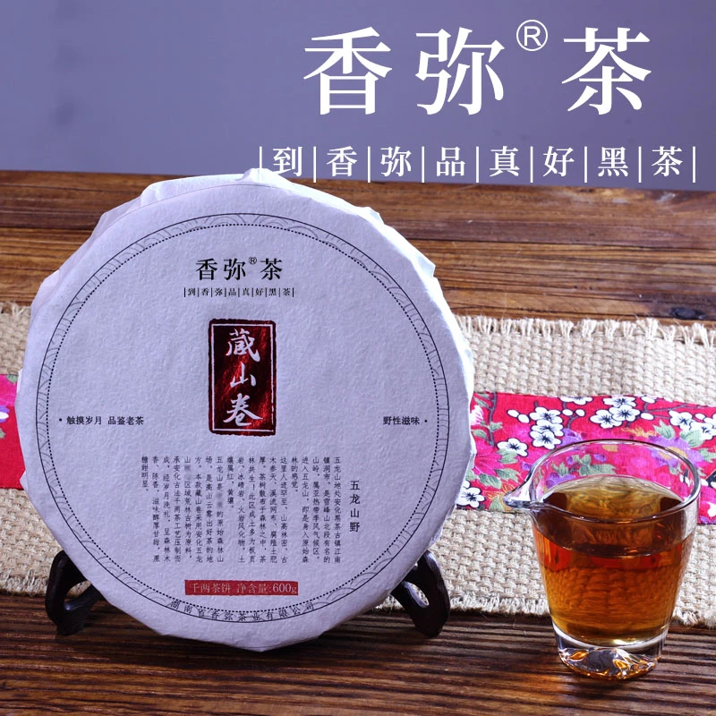 十五年陈湖南安化黑茶千两茶五龙山荒野千两茶饼600g木质香 枣香