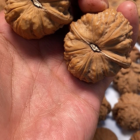 吊坠文玩核桃41尺寸全品南瓜墩