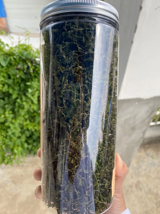 野生酸枣芽4月5日到4月7日之间采摘50g装