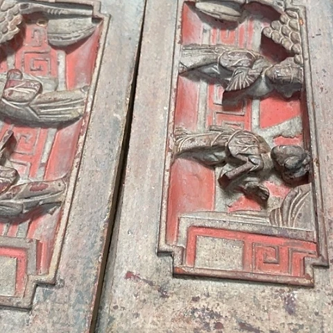 香榧木耘****育4个120元包邮