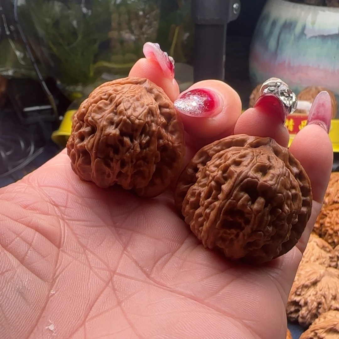 核桃一***?核桃三角白狮子头