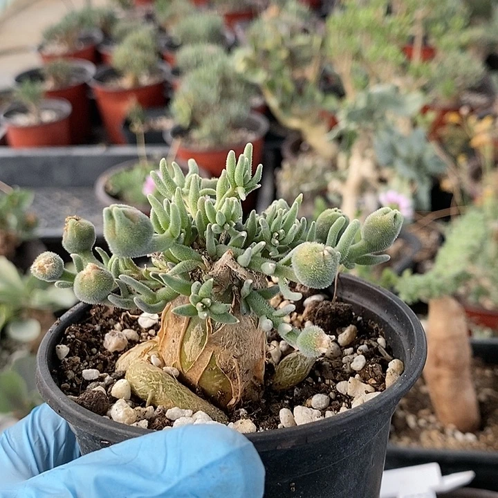 235一一一一一一一一一