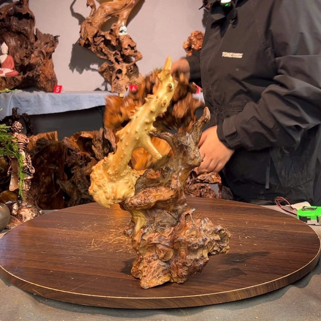 山***)香杉木203aaaaaaaaa