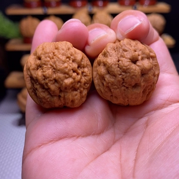 核桃云铁血舍利18号