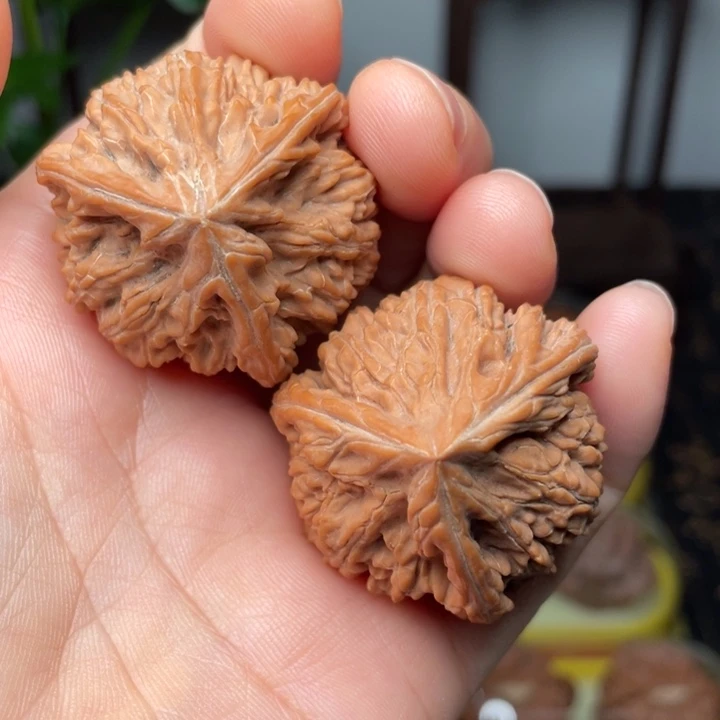 吊坠文玩核桃御龙粗筋