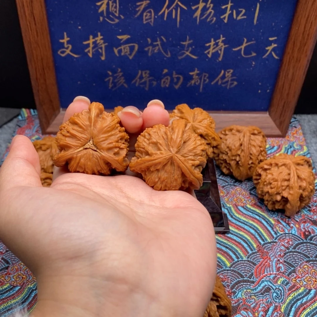 【闪购商品】︶****ゝ白狮