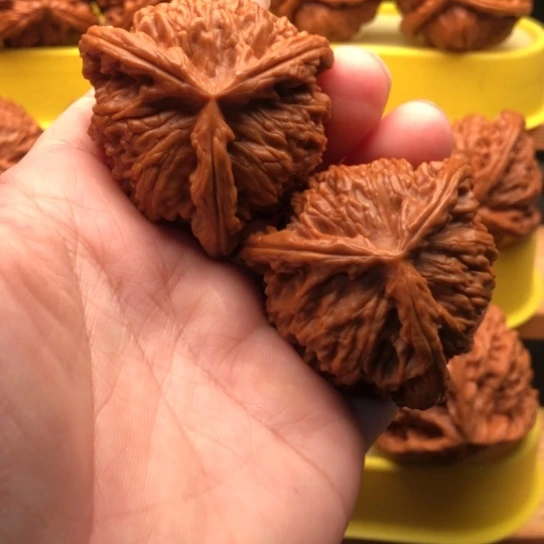 核桃核桃核桃核桃核桃厚薄