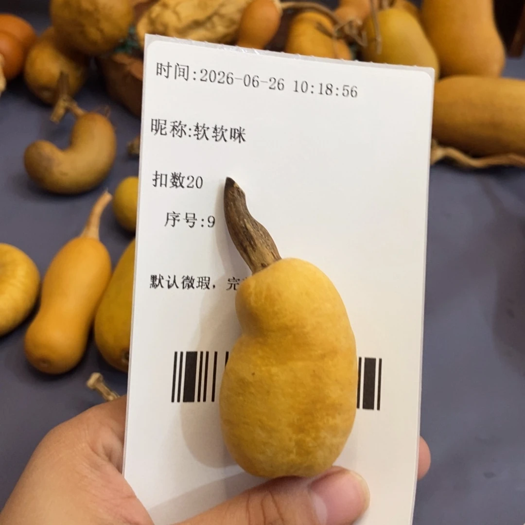软*咪哈哈哈哈哈哈哈