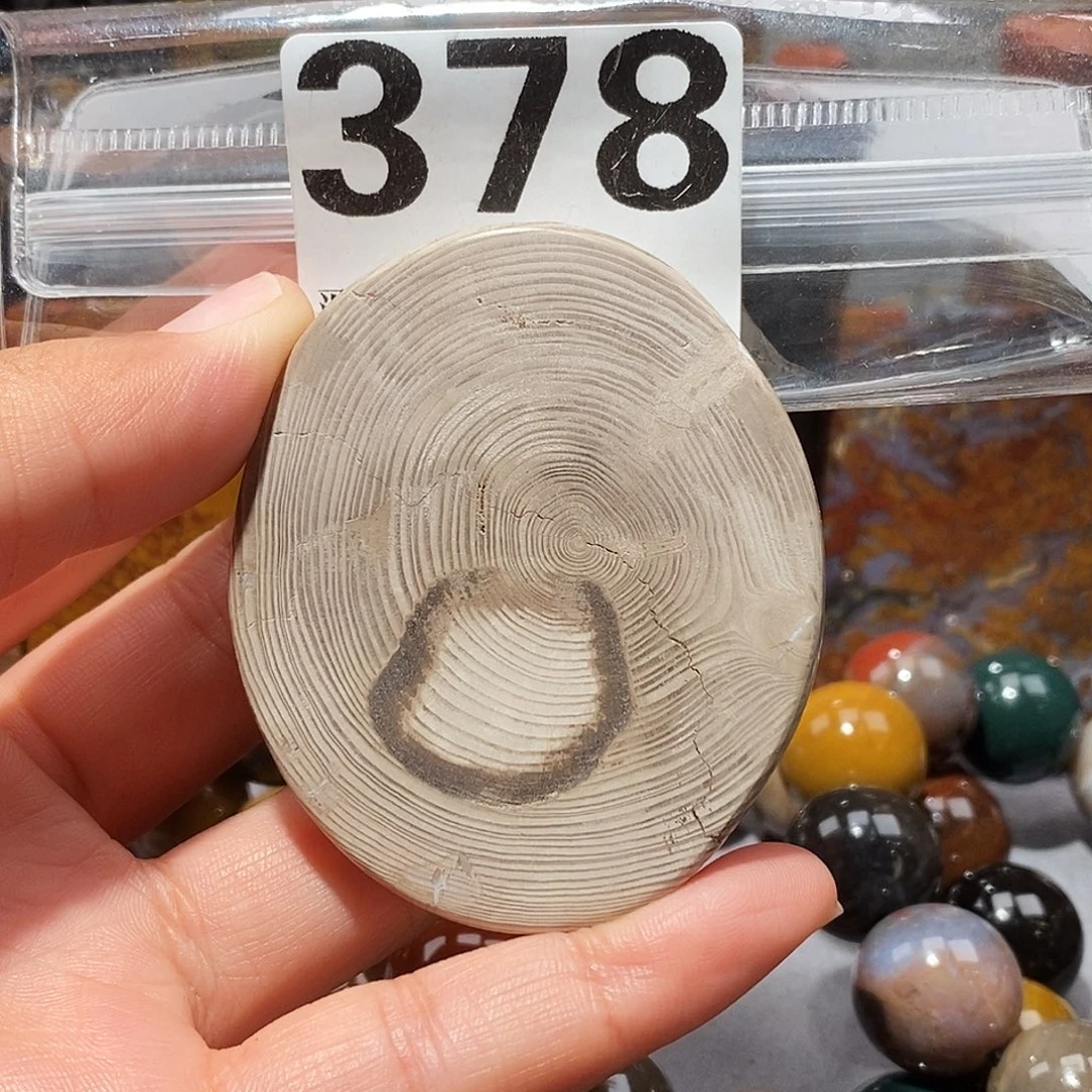 硅化玉未镶嵌天然北票硅化玉吊坠