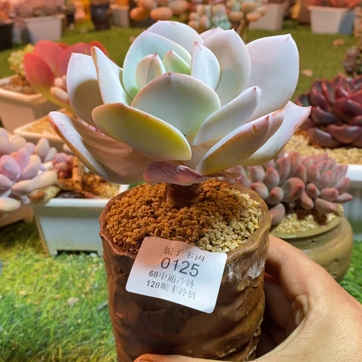 0125啊啊啊啊啊啊啊啊啊啊