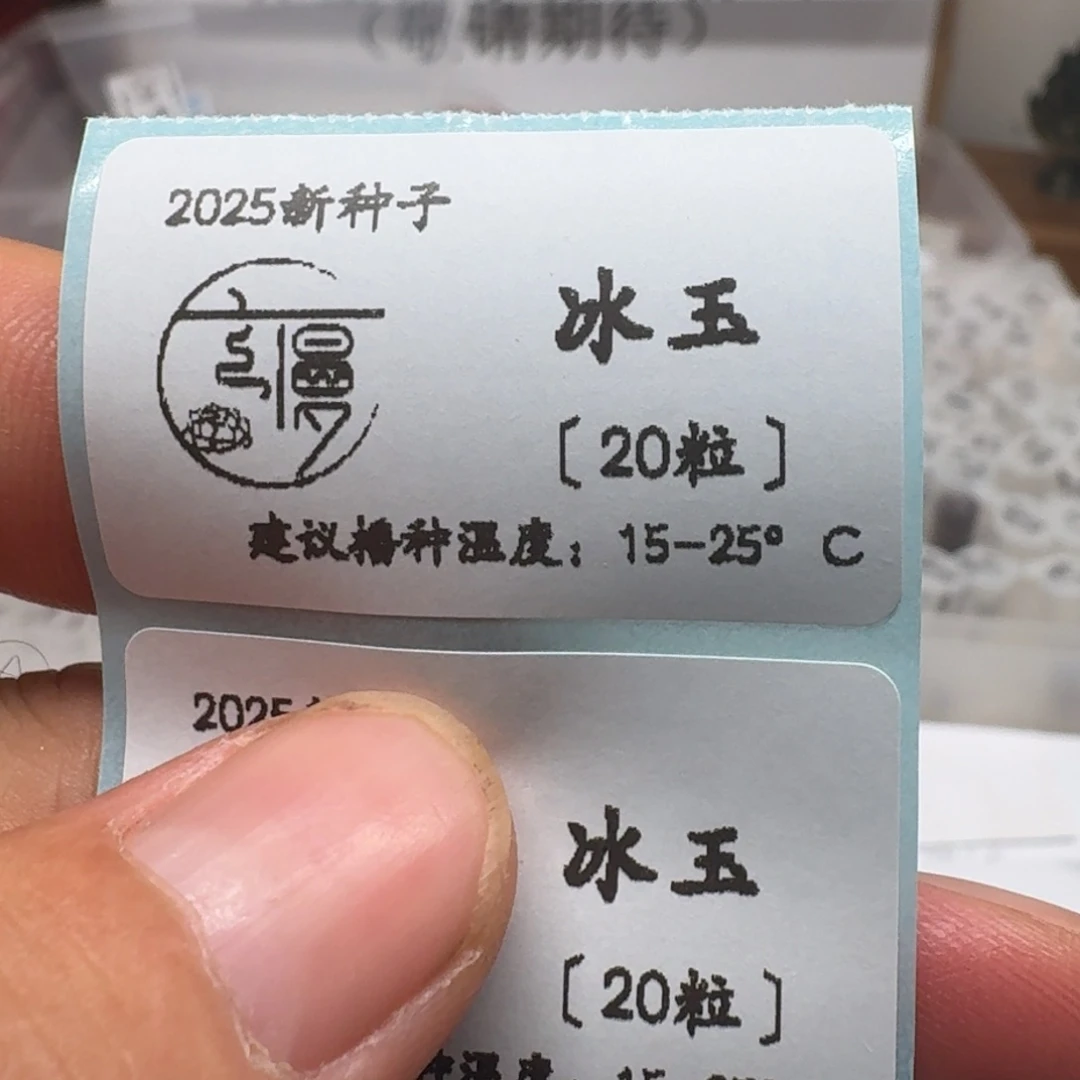 如图2025年杂交种子冰玉不包出芽率