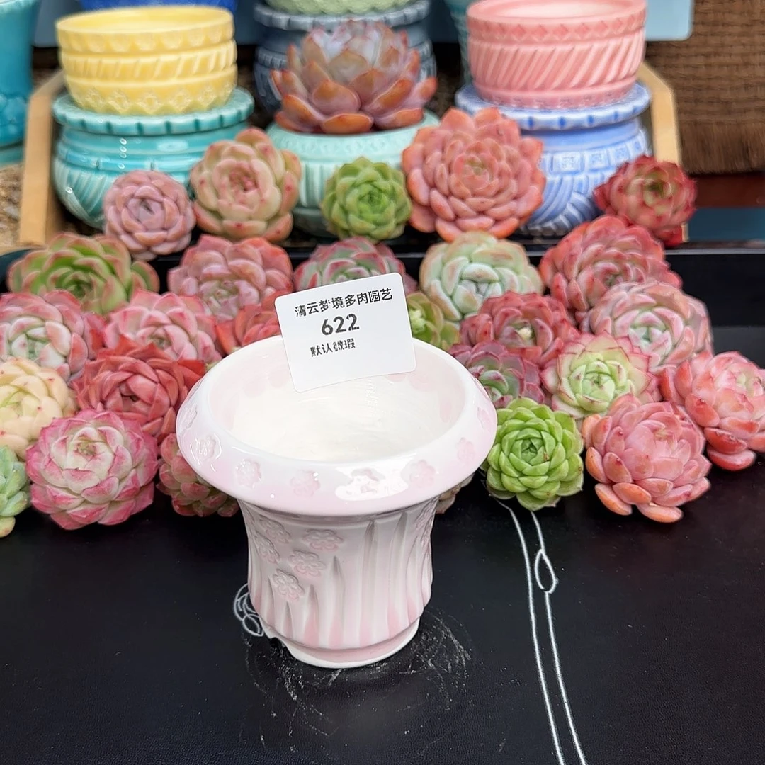 【闪购商品】622 7口花盆