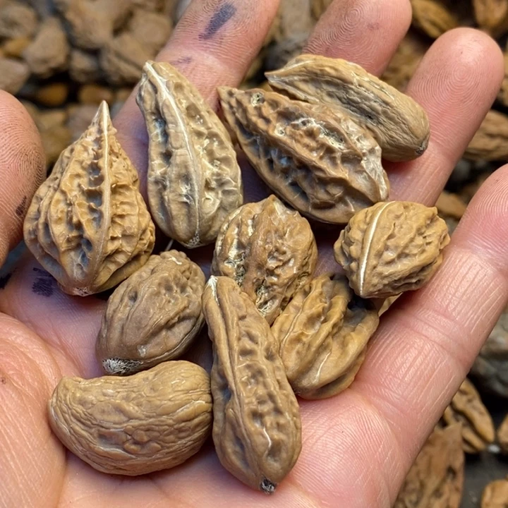 桃核吊坠娜姐楸子101