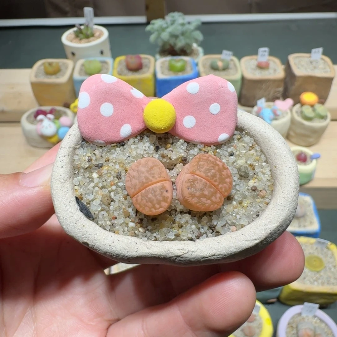 红陶请****尼蘑菇1106饼gan
