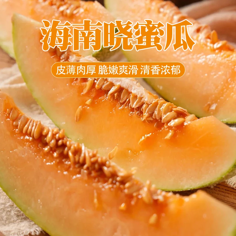 【坏果包赔】海南海沙地晓蜜瓜2粒/6斤