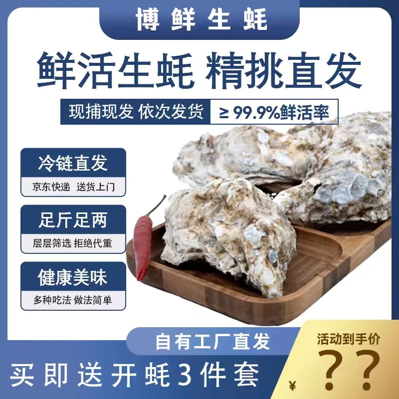 原产地正宗鲜活生蚝牡蛎海蛎子新鲜金蚝包邮蒸煮烤生蚝到手5-8斤