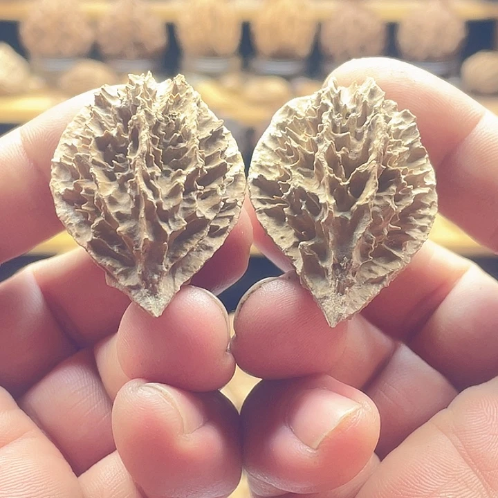 把件文玩核桃刺背龙脊36