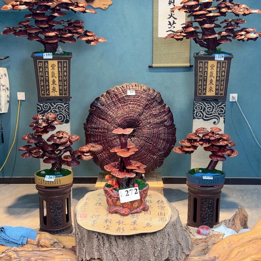 用***6无花朵868888888888