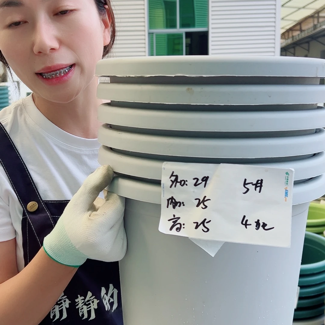 四季盆5#灰白6个无托